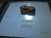 A dinosaur footprint 