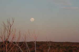 Full moon peaking out