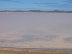 Pink Lake