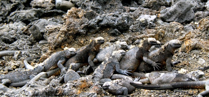 And this was a close knit community 