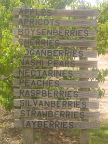 Sorrell Fruit Farm = list of all their fruits you can pick, if in season.