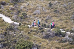 Nice and flat around Dove Lake Circuit for the pram and esky. But instead, we choose the uneven track with steps and loose wet rocks