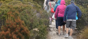 Off we trot towards Lake Lilla