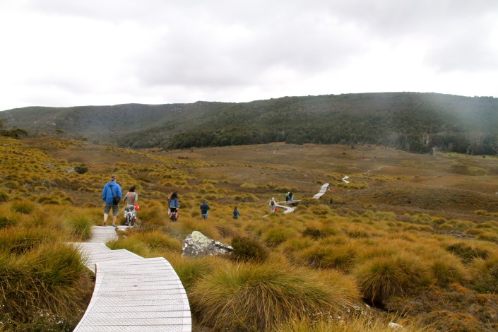 We found the boardwalk... finally!