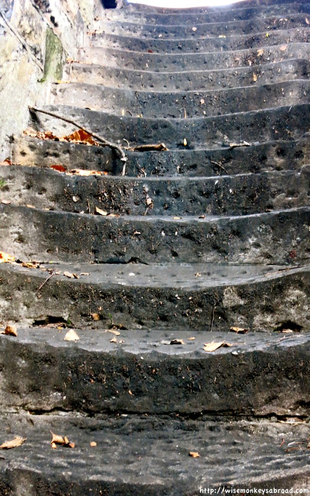 Old steps leading to Cumberland Place and Susannah Place.