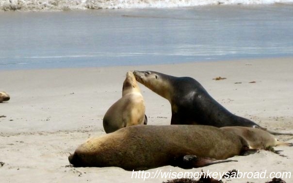 1931261_113264025410_2018_n