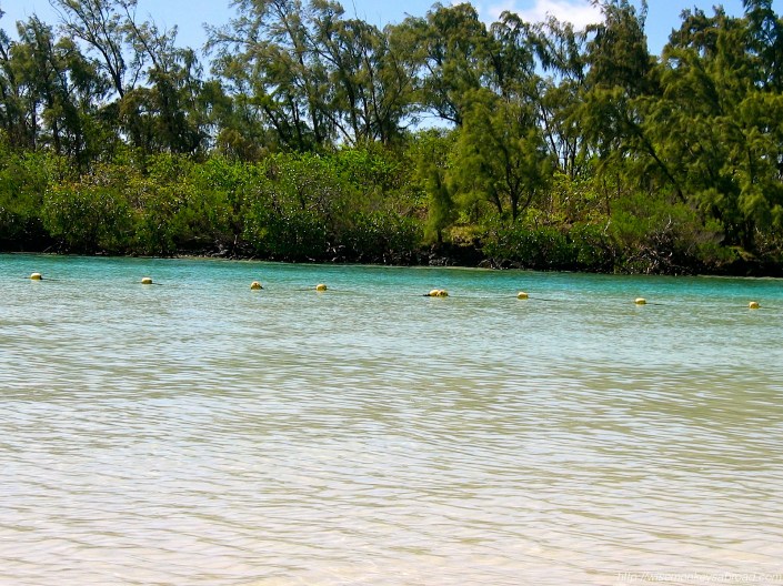 Mauritius 2005 (117)